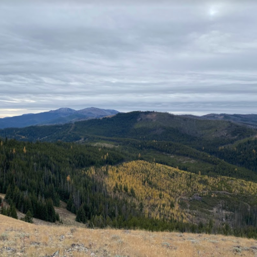 landscape